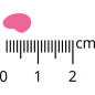 Pan Mięsko Cielęcina z przepiórką XS szczeniak 9kg