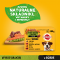 PEDIGREE Adult saszetka 12x100 g - Wybór Smaków z Warzywami w Sosie - mokra karma pełnoporcjowa dla dorosłych psów