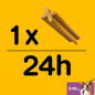 Pedigree Dentastix Mini 110g