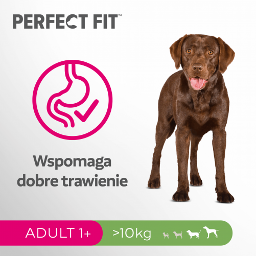 Perfect Fit™ - sucha karma pełnoporcjowa dla dorosłych psów średnich i dużych ras, bogata w kurczaka 6kg