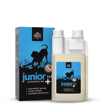 Pokusa Chondroline Junior + HA 500ml