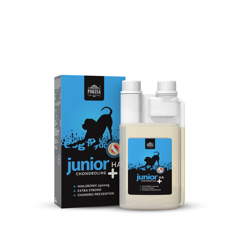 Pokusa Chondroline Junior + HA 500ml