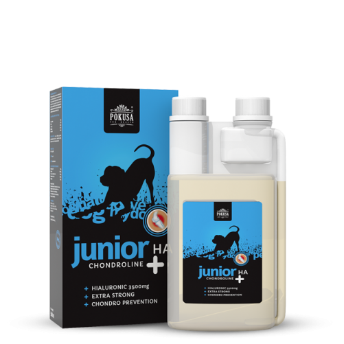 Pokusa Chondroline Junior + HA 500ml