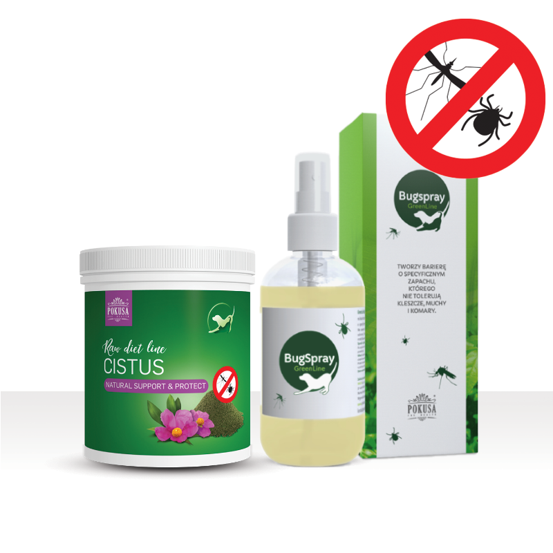 Pokusa Czystek 100g + BugSpray 150 ml