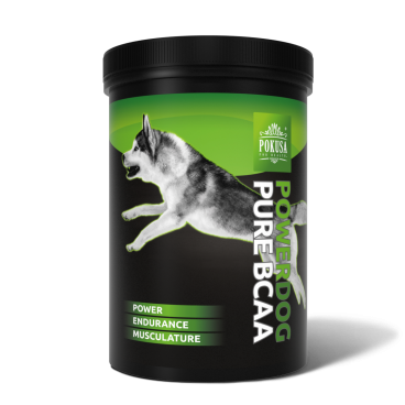 Pokusa PowerDog BCAA Pure 200g maksymalnej regeneracji i rozwoju mięśni.