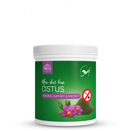 Pokusa RawDietLine Czystek 500g