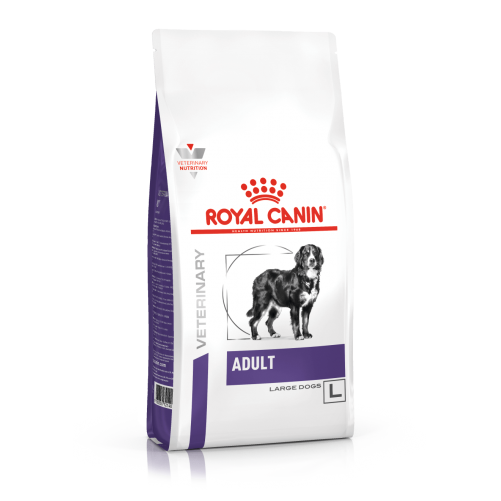 ROYAL CANIN Adult Large Dog 13kg