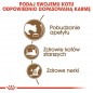 ROYAL CANIN  Ageing +12