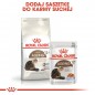 ROYAL CANIN  Ageing +12