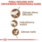 ROYAL CANIN  Ageing +12 karma mokra w sosie dla kotów dojrzałych