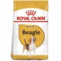 ROYAL CANIN Beagle Adult 12kg