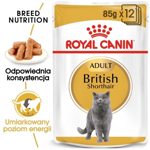 ROYAL CANIN British Shorthair 85g