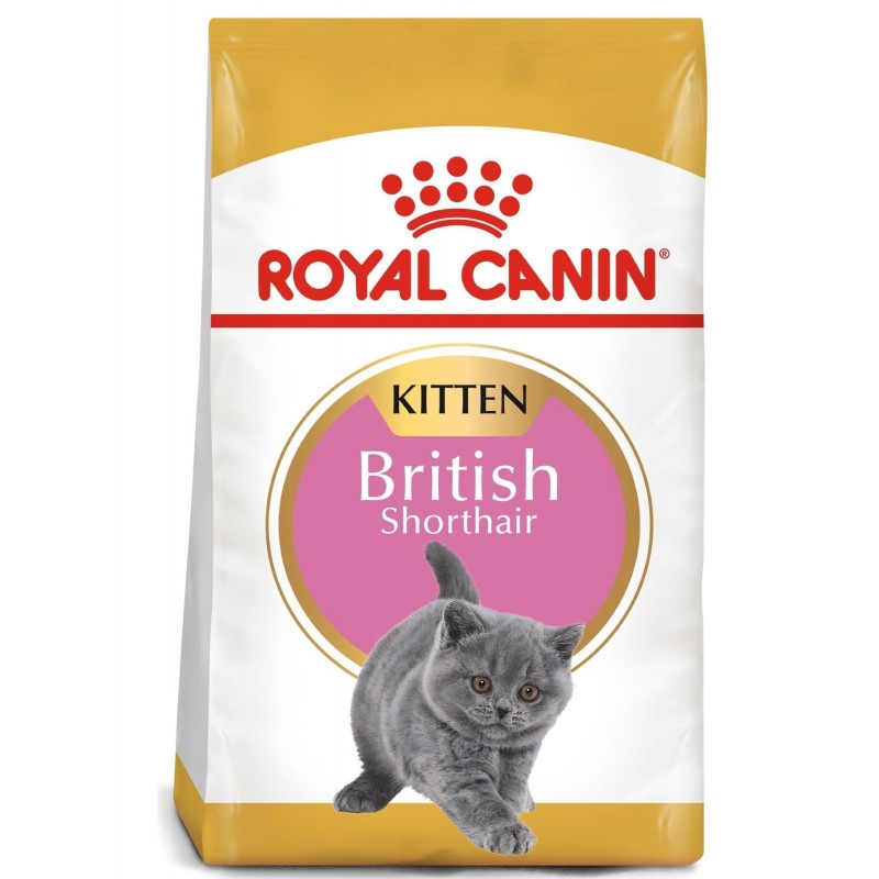 ROYAL CANIN British Shorthair Kitten