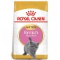 ROYAL CANIN British Shorthair Kitten