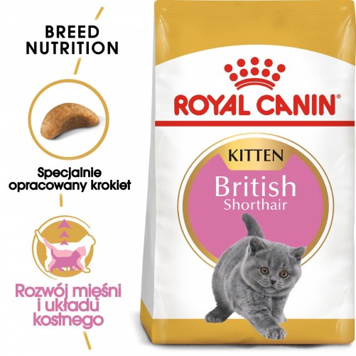 ROYAL CANIN British Shorthair Kitten