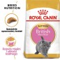 ROYAL CANIN British Shorthair Kitten