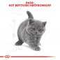 ROYAL CANIN British Shorthair Kitten