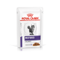 Royal Canin Cat Neutered Balance sos 85g