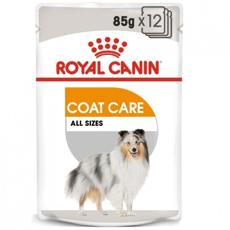 ROYAL CANIN CCN Coat Care karma mokra 12x85g