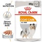 ROYAL CANIN CCN Coat Care karma mokra 12x85g