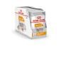 ROYAL CANIN CCN Coat Care karma mokra 12x85g