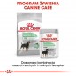 ROYAL CANIN CCN Digestive Care karma mokra 12x85g