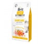 Brit Care Cat Grain Free Haircare Healthy & Shiny Coat 2kg