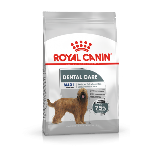 ROYAL CANIN CCN Maxi Dental Care karma sucha dla psów dorosłych, ras dużych, redukująca powstawanie kamienia nazębnego