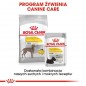 ROYAL CANIN CCN Maxi Dermacomfort 12 kg