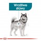 ROYAL CANIN CCN Maxi Joint Care 3kg - karma sucha dla psów dorosłych, ras dużych, wspomagająca pracę stawów