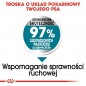 ROYAL CANIN CCN Maxi Joint Care 3kg - karma sucha dla psów dorosłych, ras dużych, wspomagająca pracę stawów