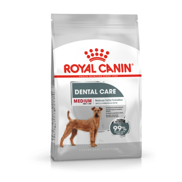 ROYAL CANIN CCN Medium Dental Care karma sucha dla psów dorosłych, ras średnich, redukująca powstawanie kamienia nazębnego