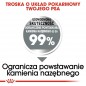 ROYAL CANIN CCN Medium Dental Care karma sucha dla psów dorosłych, ras średnich, redukująca powstawanie kamienia nazębnego