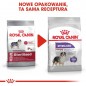 ROYAL CANIN CCN Medium Sterilised karma sucha 12kg