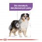 ROYAL CANIN CCN Medium Sterilised karma sucha 12kg