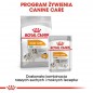 ROYAL CANIN CCN Mini Coat Care 1kg - karma sucha dla psów dorosłych, ras małych o matowej sierści