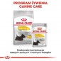 ROYAL CANIN CCN Mini Dermacomfort 1kg