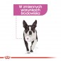 ROYAL CANIN CCN Mini Relax Care 3kg - karma sucha dla psów dorosłych, ras małych, narażonych na działanie stresu