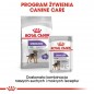 ROYAL CANIN CCN Mini Sterilised 8kg