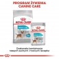 ROYAL CANIN CCN Mini Urinary Care 1kg - karma sucha dla psów dorosłych, ras małych, ochrona dolnych dróg moczowych