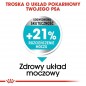 ROYAL CANIN CCN Mini Urinary Care 1kg - karma sucha dla psów dorosłych, ras małych, ochrona dolnych dróg moczowych