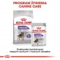 ROYAL CANIN CCN Sterilised karma mokra 12x85g