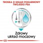 ROYAL CANIN CCN Urinary Care karma mokra - pasztet dla psów dorosłych, ochrona dolnych dróg moczowych