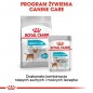 ROYAL CANIN CCN Urinary Care karma mokra - pasztet dla psów dorosłych, ochrona dolnych dróg moczowych