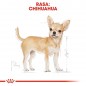 ROYAL CANIN Chihuahua Adult 2x1,5kg