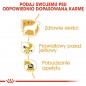 ROYAL CANIN Chihuahua Adult