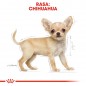 ROYAL CANIN Chihuahua Puppy