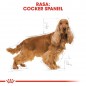 ROYAL CANIN Cocker Spaniel Adult karma sucha dla psów dorosłych rasy cocker spaniel 12kg