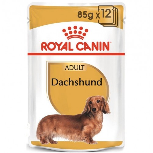 ROYAL CANIN Dachshund karma mokra 85g