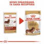 ROYAL CANIN Dachshund karma mokra 85g